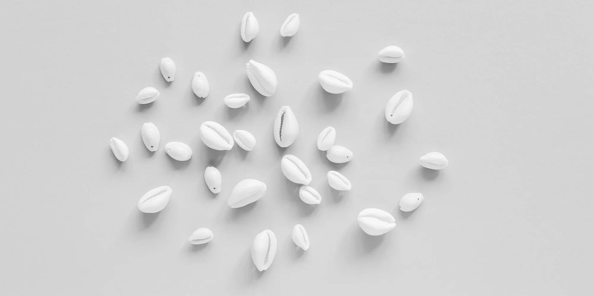 Small white shells perfectly arranged in the middle of a white-background setting to indicate centering around an artist.